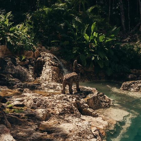 Готель Amaite Retreat Tulum Macario Gomez Екстер'єр фото