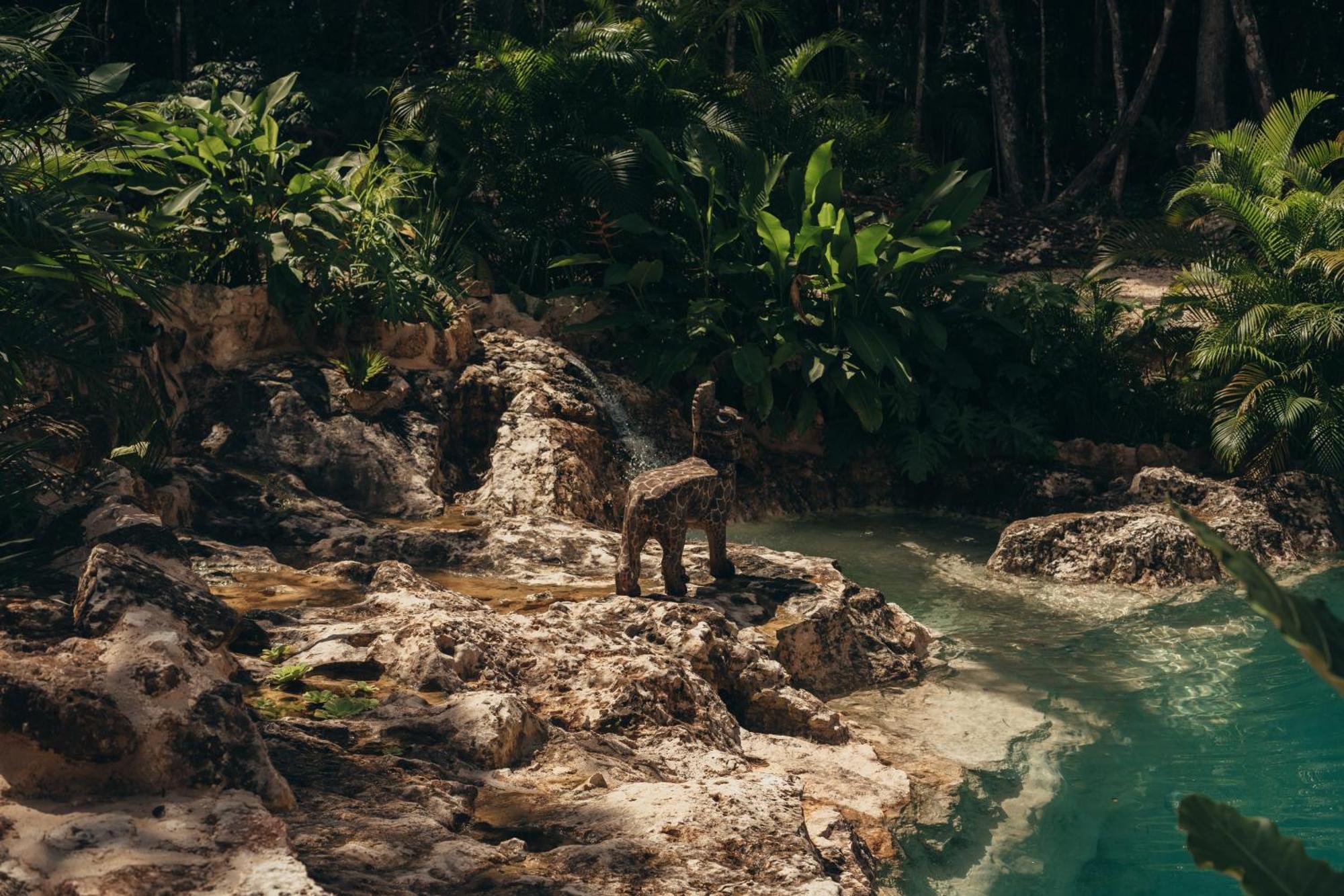 Готель Amaite Retreat Tulum Macario Gomez Екстер'єр фото